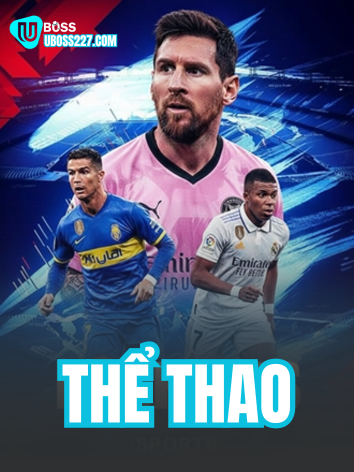 Ảnh 5